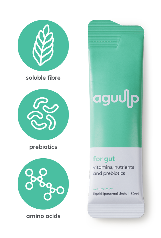 aguulp for gut sachet and ingredients