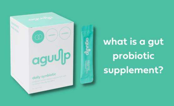 What is a gut probiotic supplement?