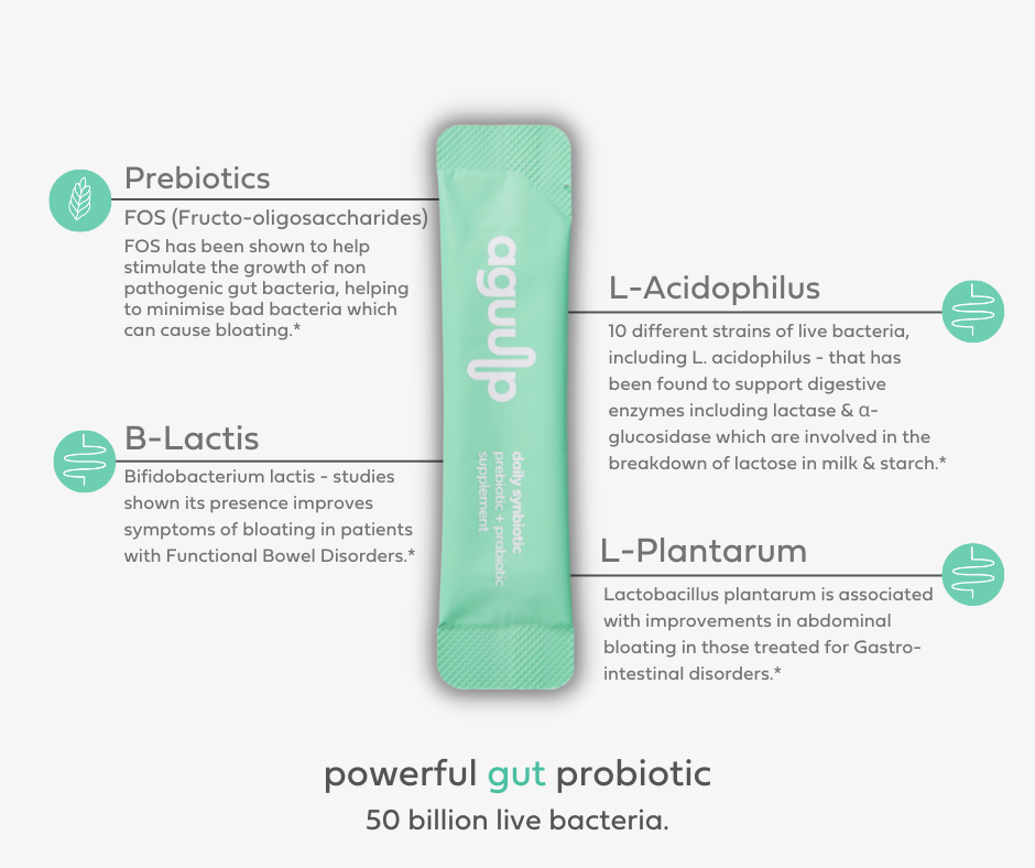 aguulp daily synbiotic